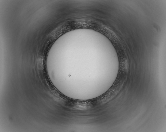 X0000113170757200909181831