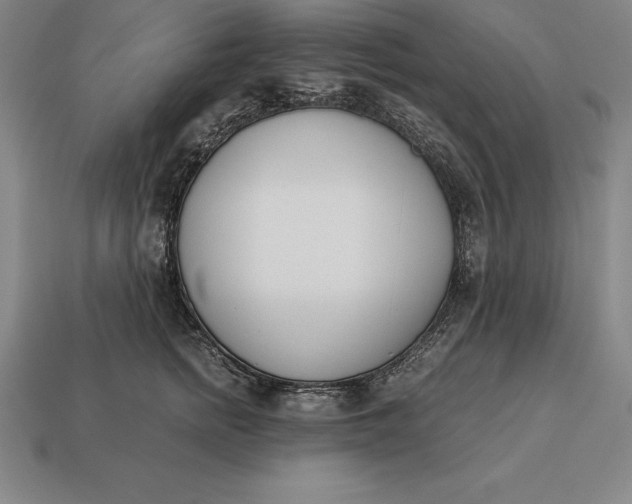 X0000113170758200909181831