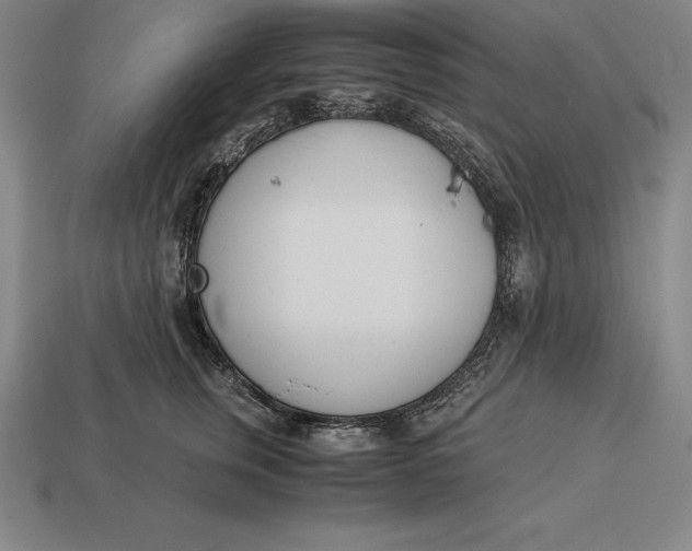 X0000113170759200909181831