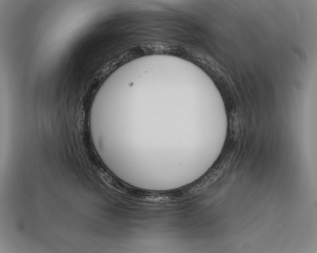 X0000113170760200909181832