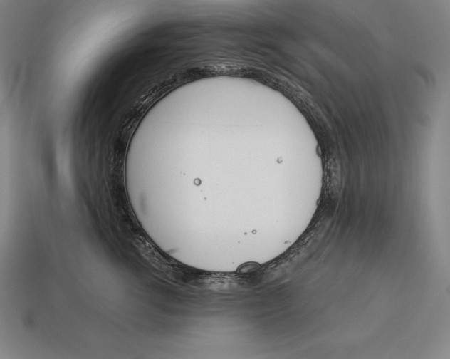 X0000113170762200909181832