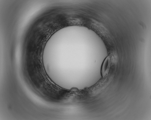 X0000113170764200909181832