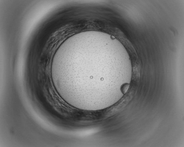 X0000113170765200909181832