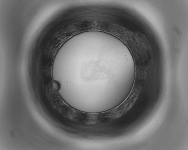 X0000113170766200909181832