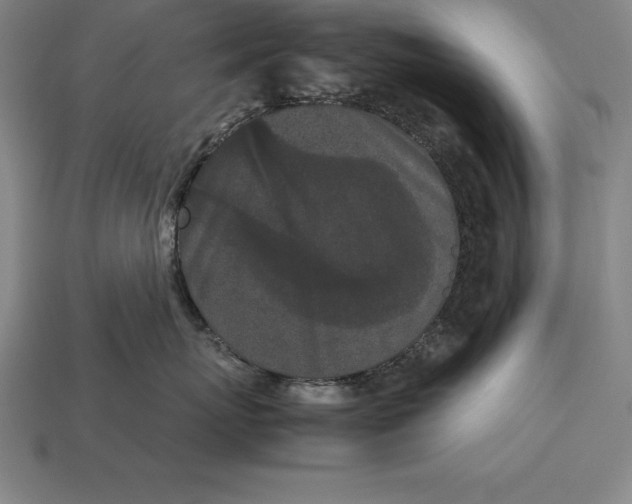 X0000113170767200909181832