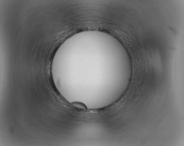 X0000113170768200909181832