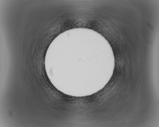 X0000113170769200909181831