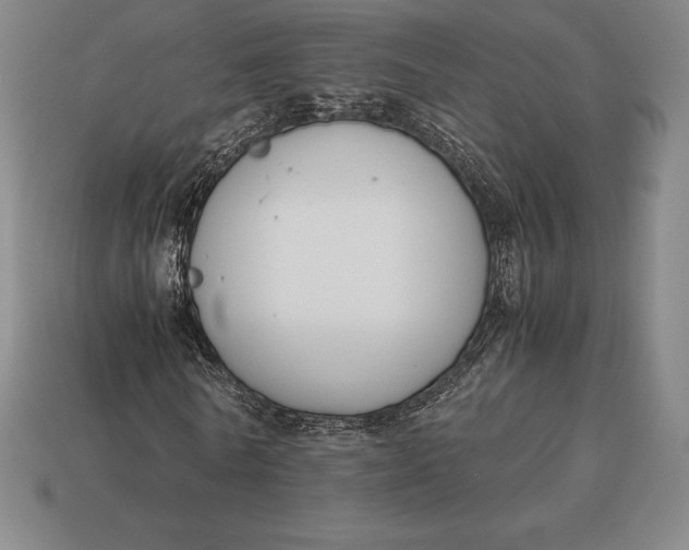 X0000113170770200909181831