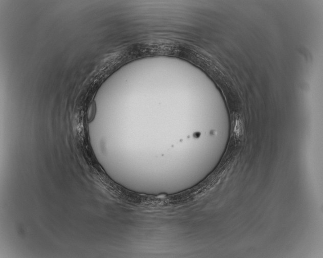 X0000113170771200909181831