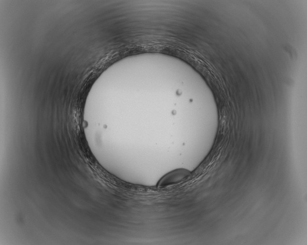 X0000113170772200909181831