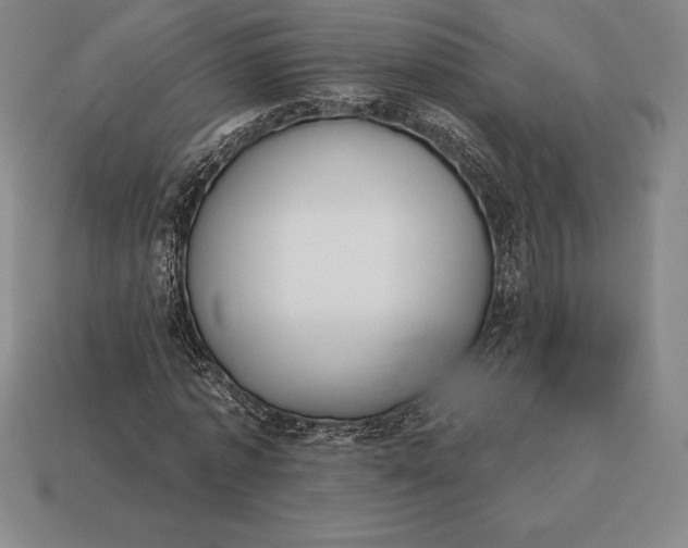 X0000113170773200909181831