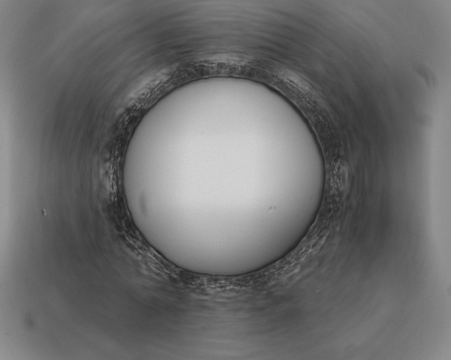 X0000113170774200909181831