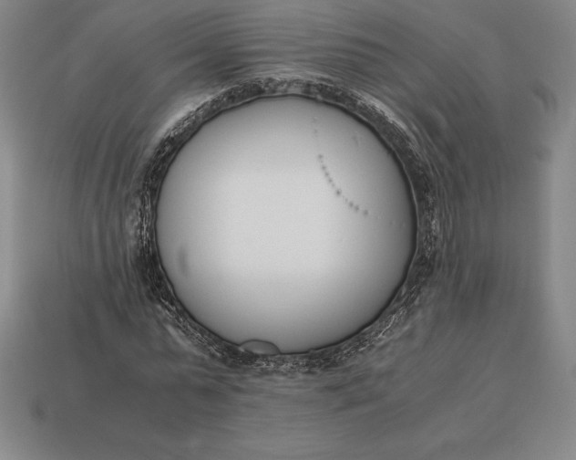 X0000113170775200909181831