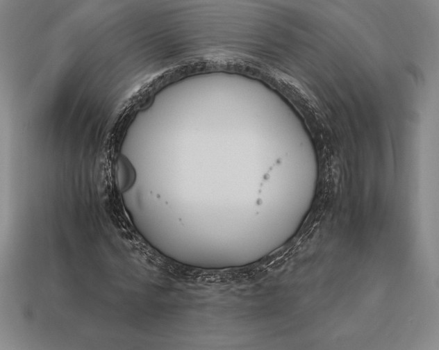 X0000113170776200909181831