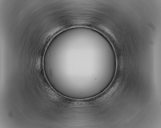 X0000113170777200909181831