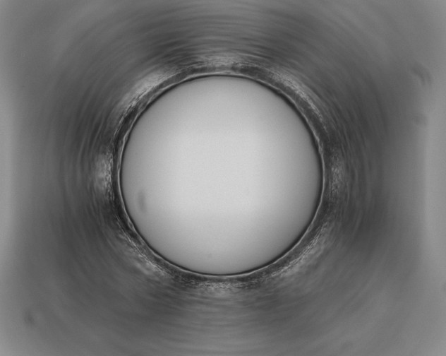 X0000113170778200909181831