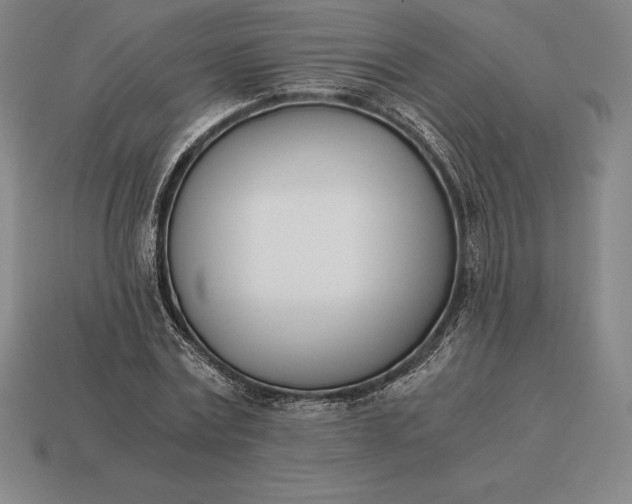 X0000113170779200909181831