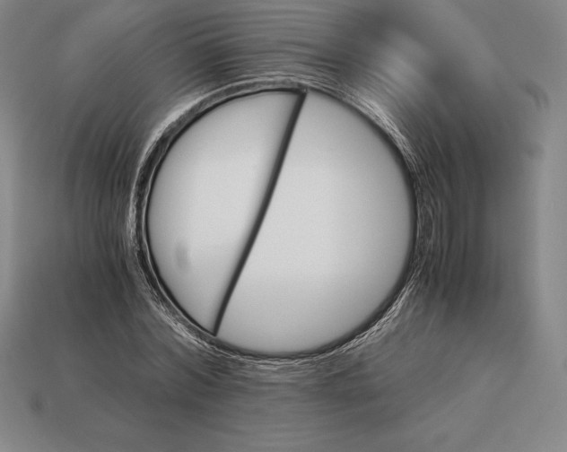 X0000113170780200909181831