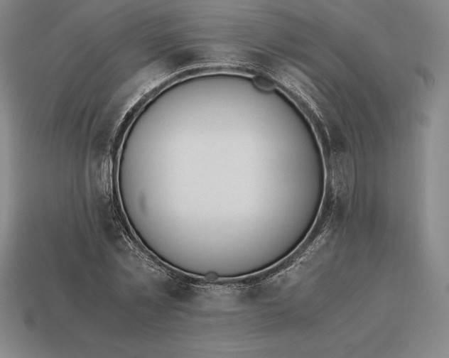 X0000113170781200909181831