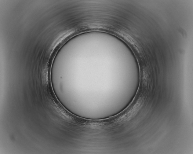 X0000113170782200909181831