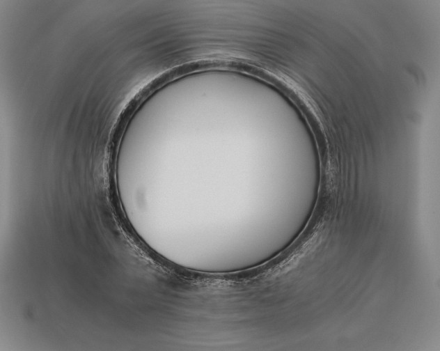 X0000113170783200909181831