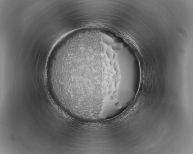 X0000113170784200909181831