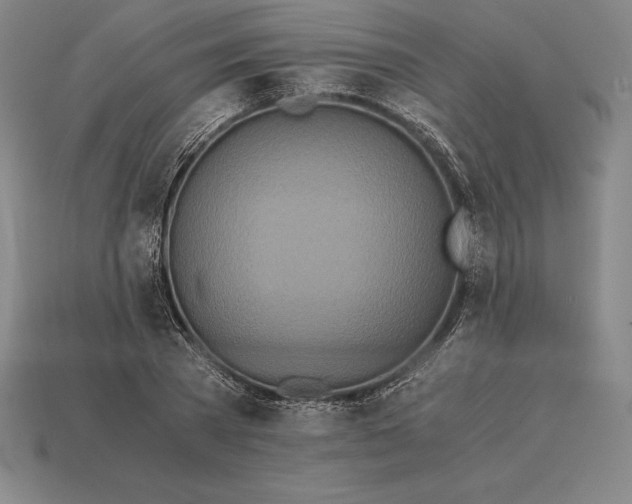 X0000113170785200909181831