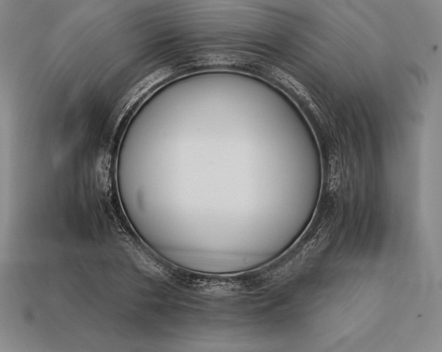 X0000113170786200909181831