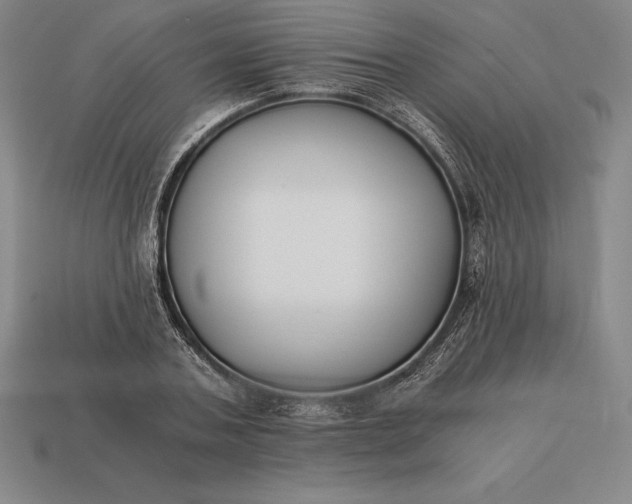 X0000113170787200909181831