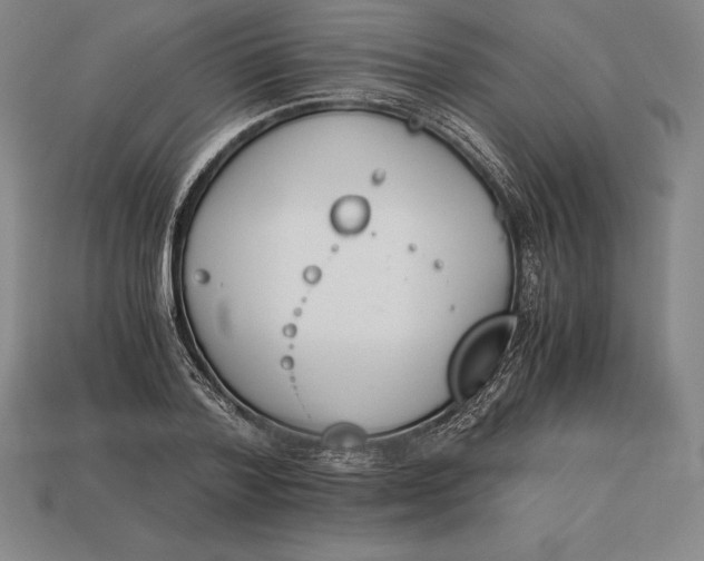 X0000113170788200909181831