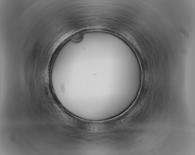 X0000113170789200909181831