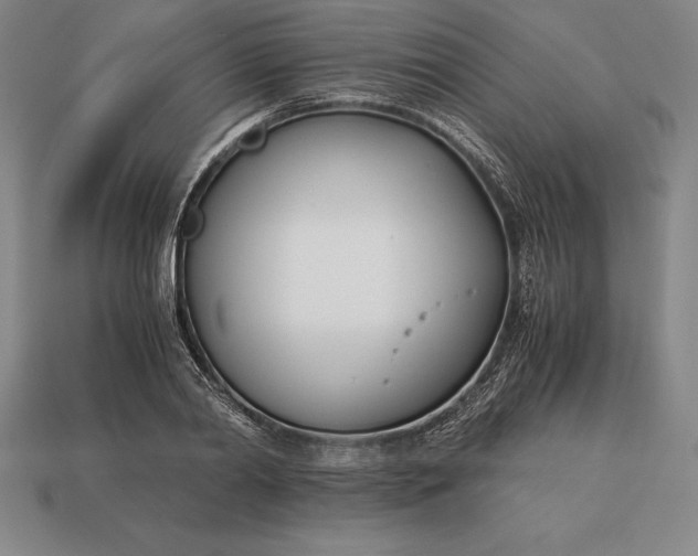 X0000113170790200909181831