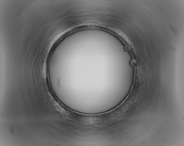 X0000113170791200909181831