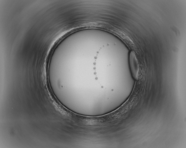 X0000113170792200909181831