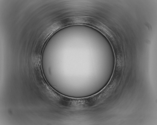 X0000113170793200909181831