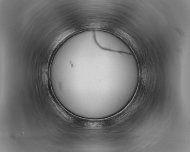 X0000113170794200909181831