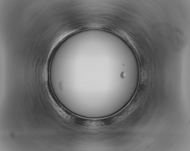 X0000113170795200909181830