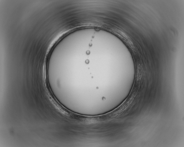 X0000113170796200909181830