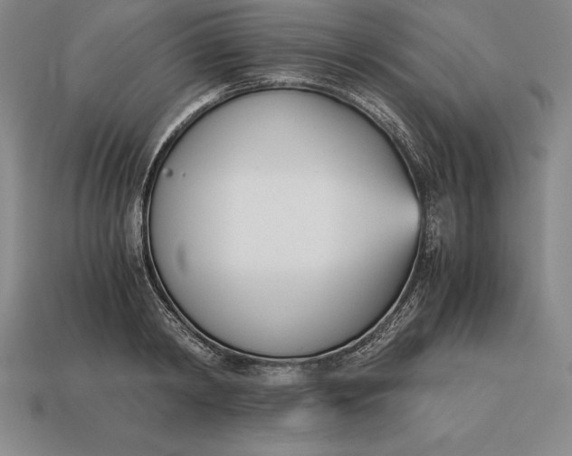 X0000113170798200909181830