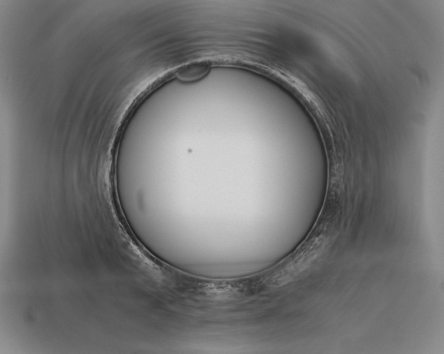 X0000113170799200909181830