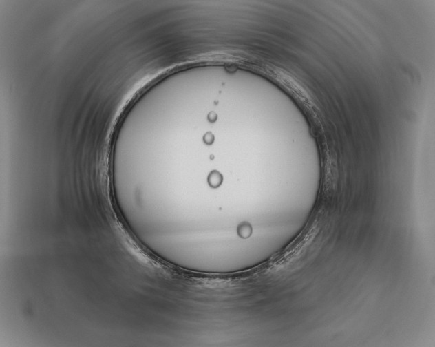 X0000113170800200909181830