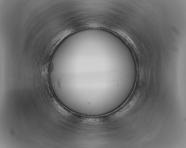 X0000113170801200909181830