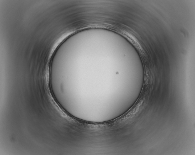 X0000113170804200909181830