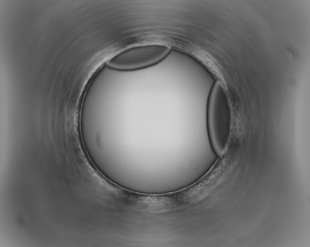 X0000113170805200909181830