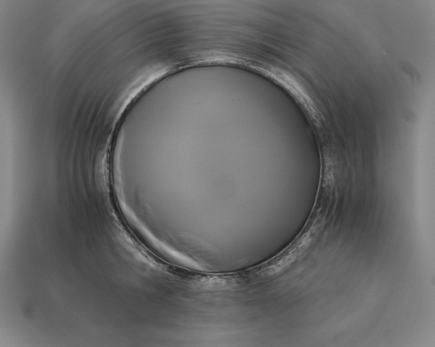 X0000113170806200909181830