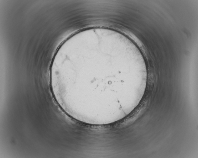 X0000113170807200909181830