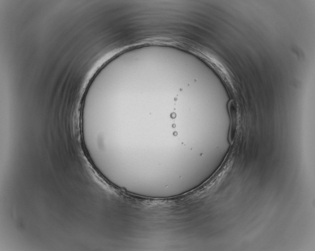 X0000113170808200909181830