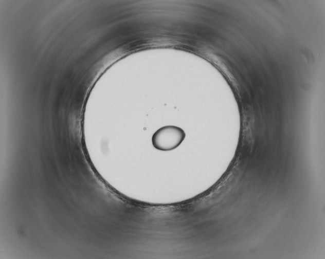 X0000113170810200909181830