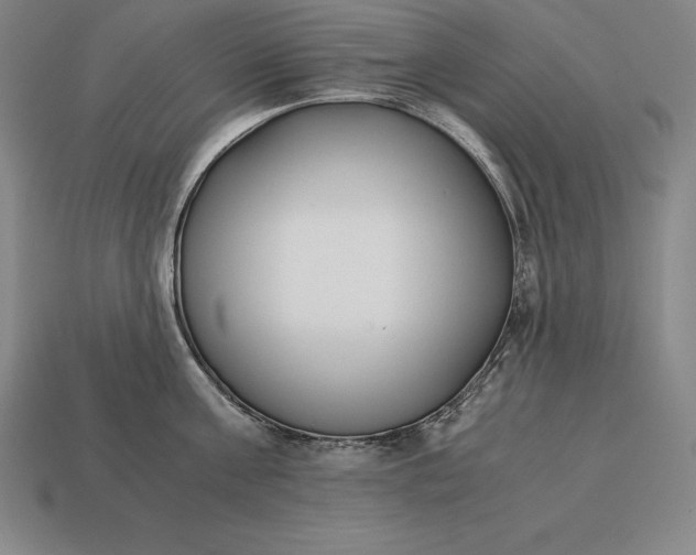 X0000113170811200909181830