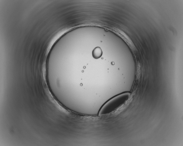 X0000113170812200909181830